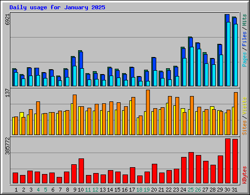 Daily usage for January 2025