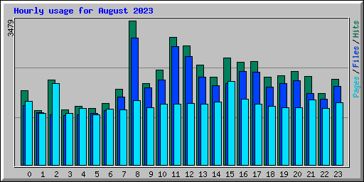 Hourly usage for August 2023