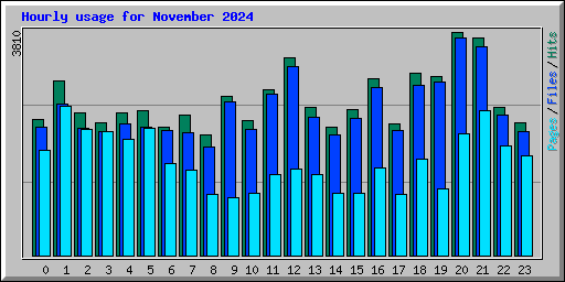 Hourly usage for November 2024
