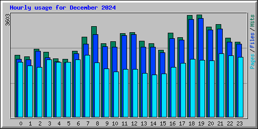 Hourly usage for December 2024