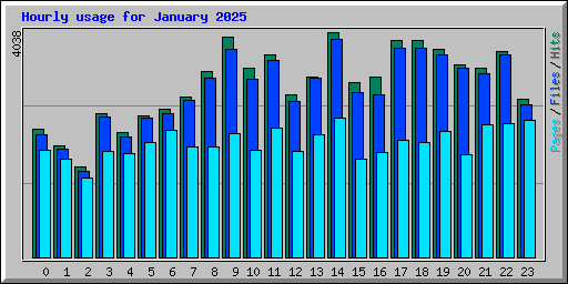 Hourly usage for January 2025