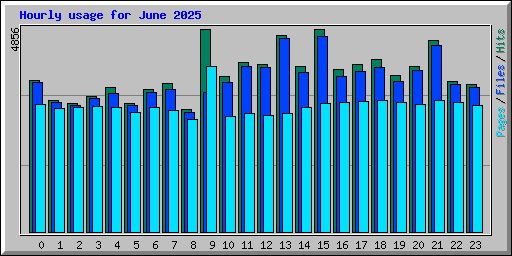 Hourly usage for June 2025