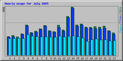 Hourly usage for July 2025