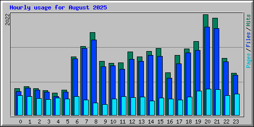 Hourly usage for August 2025