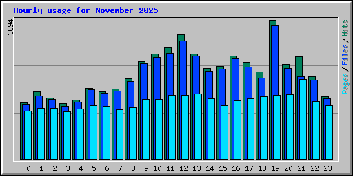 Hourly usage for November 2025