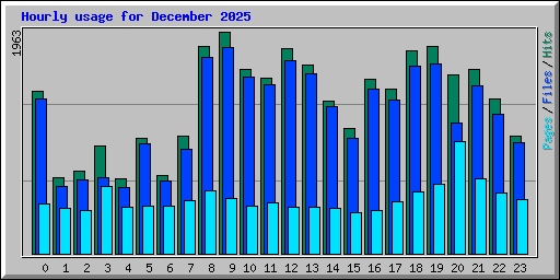 Hourly usage for December 2025
