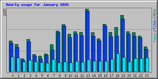 Hourly usage for January 2026